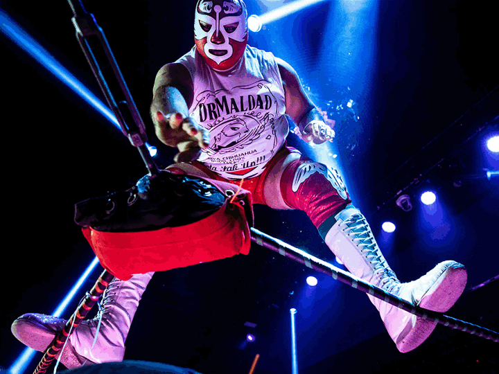 A slideshow features a masked Mexican wrestler, a conductor leading an orchestra and concert goers bathed in a magenta light.