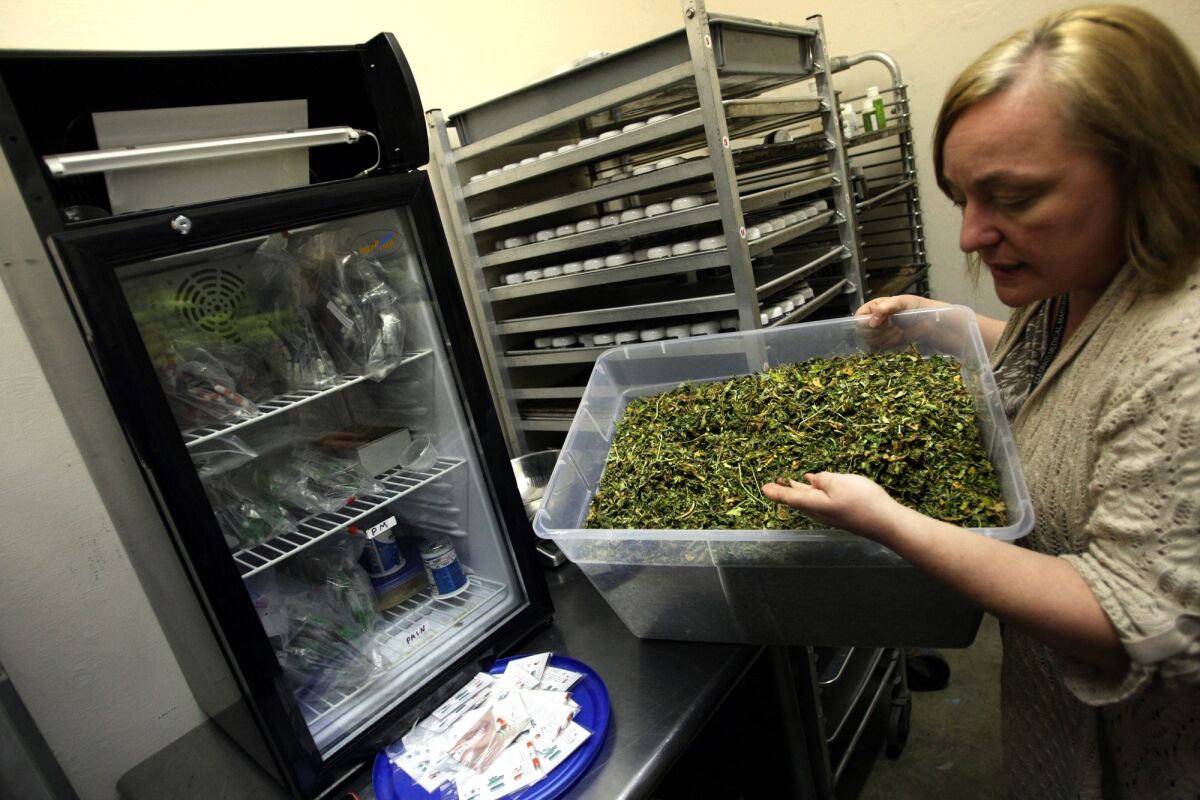 Christie Lunsford of Dixie Elixirs & Edibles in Denver holds a container of marijuana trim that is used to infuse products sold there.