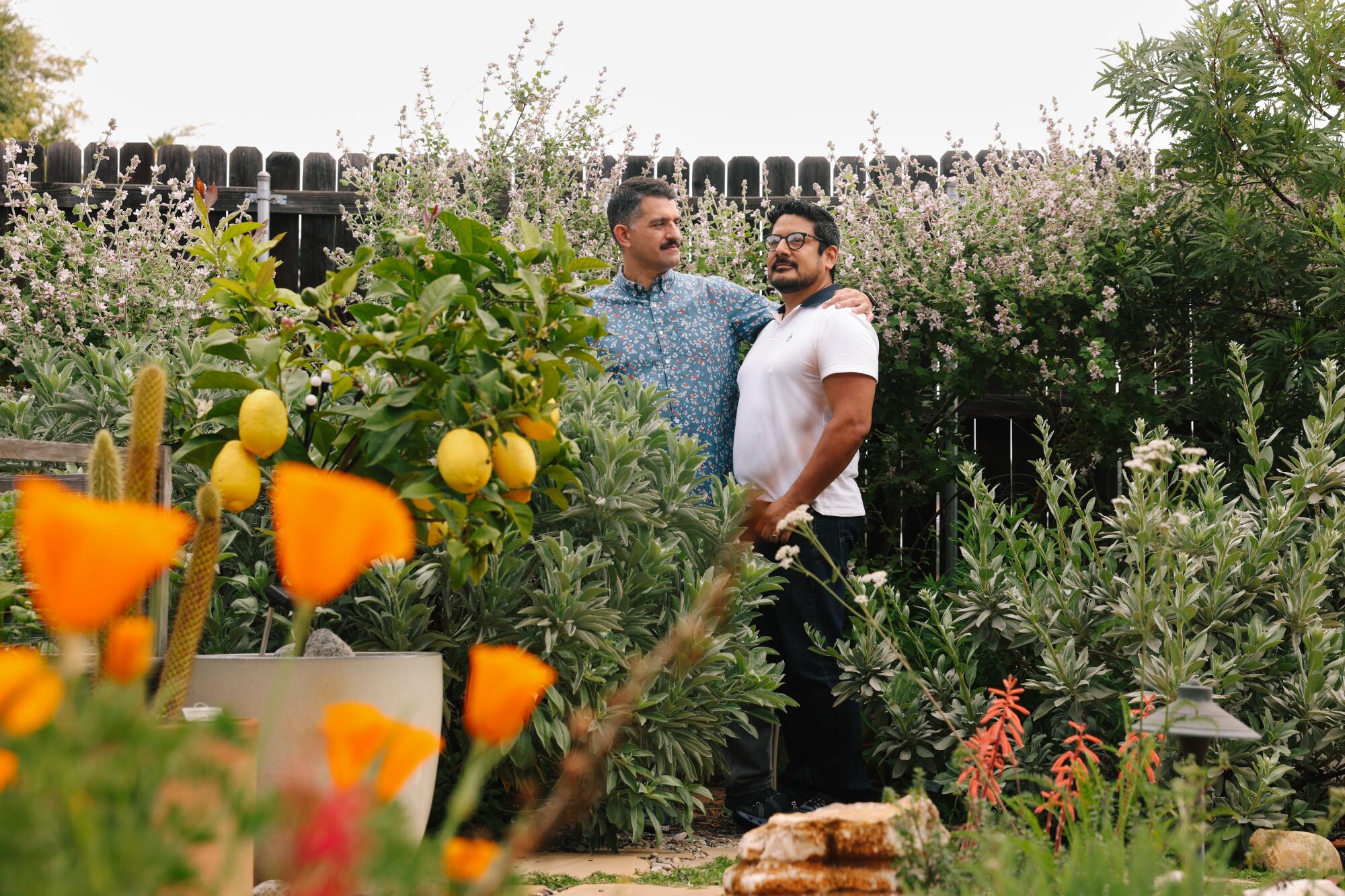 Two men stand in their backyard, which is filled with plants including California poppies and a lemon tree