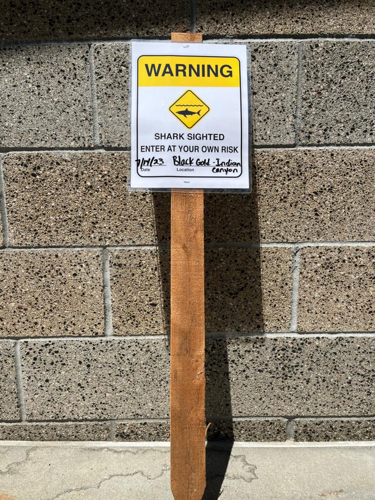 Three juvenile great white sharks were seen off Black's Beach in La Jolla, prompting warning signs to be posted.