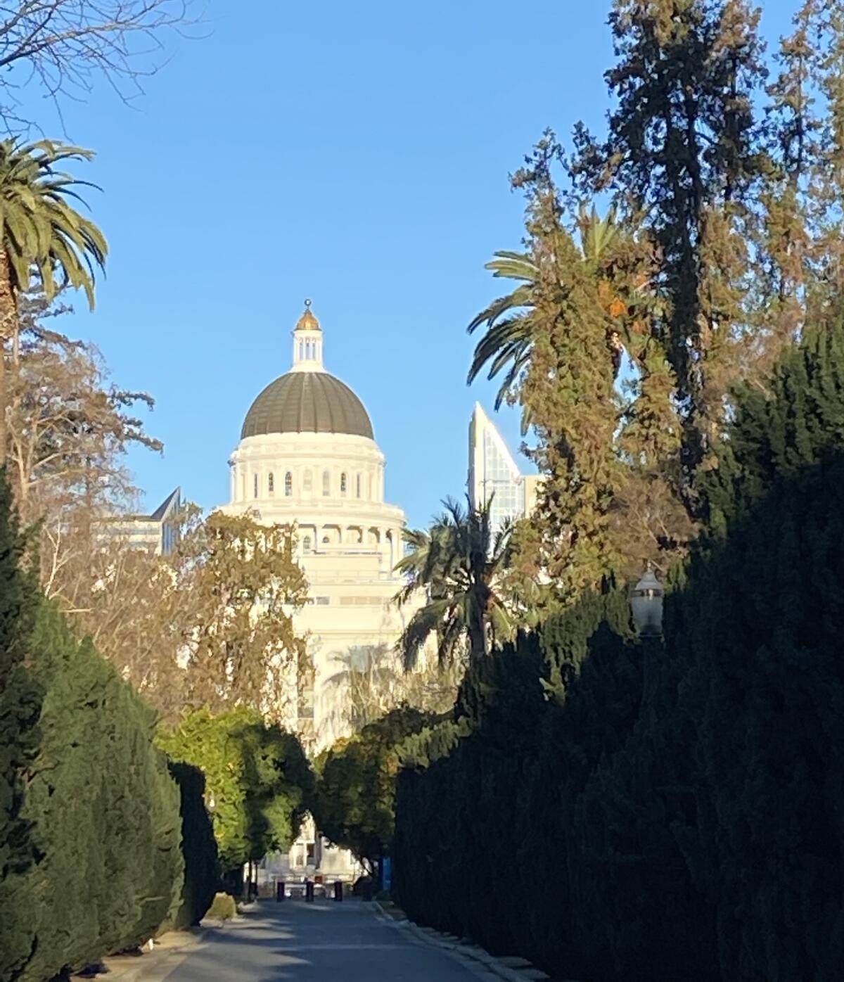 The tree-rich grounds of the California state Capitol.