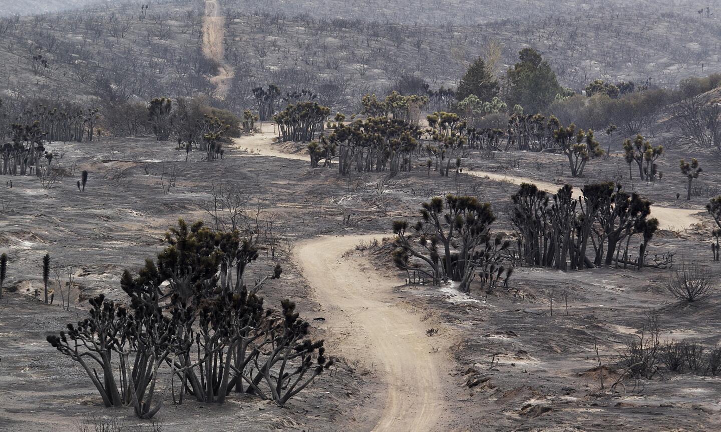 Cajon Pass fire