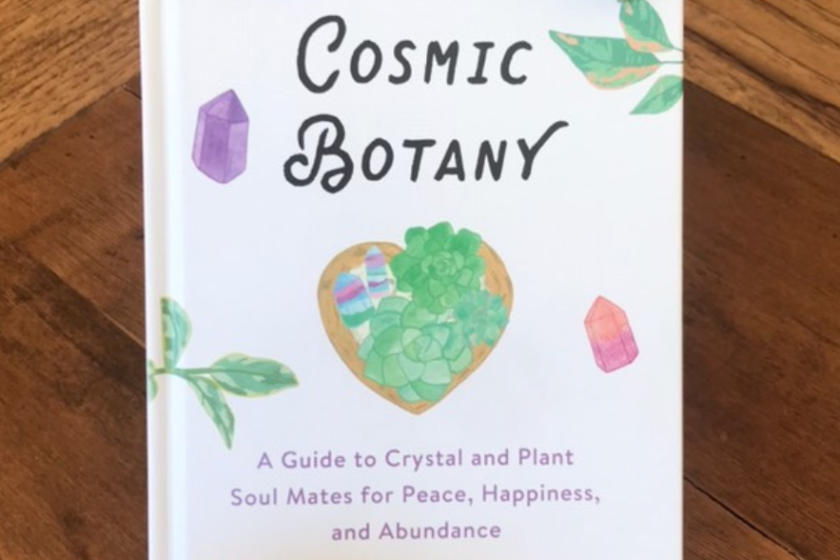 Cosmic Botany is the first book from La Jolla native Tanya Lichtenstein.