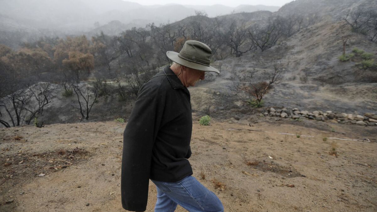 A resident walks along Thunderhead Road in the Horsethief Canyon neighborhood against a backdrop of charred hillside from the Holy fire.