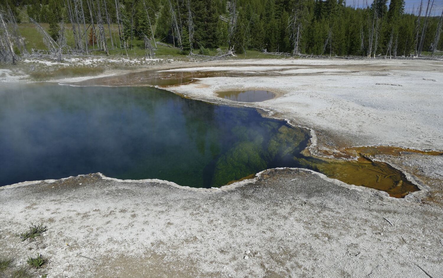 Yellowstone kaynağında yüzer halde bulunan ayak Los Angeles'lı bir adama aitti
