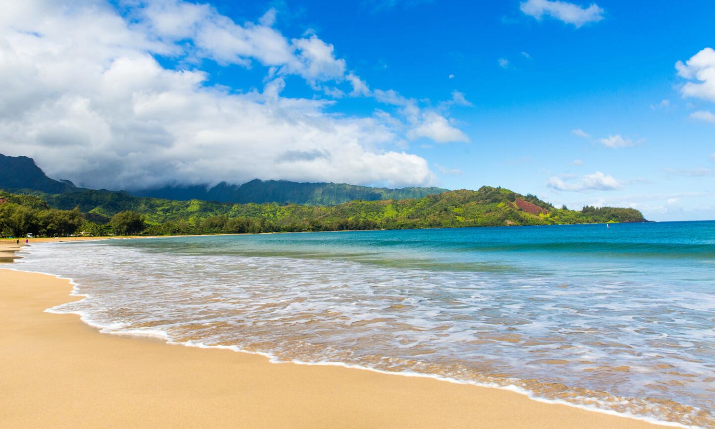 The beach.