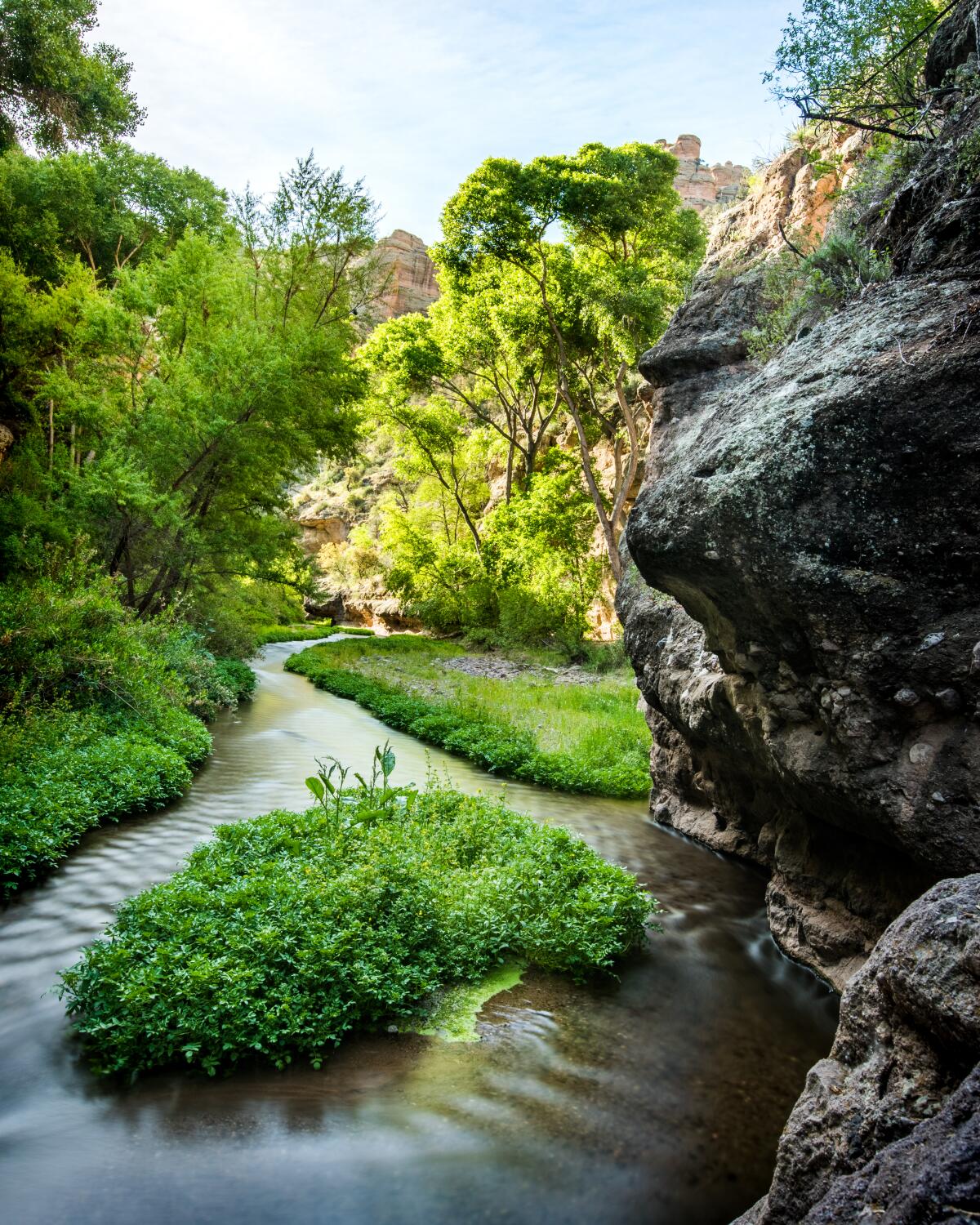 Aravaipa Canyon is a rare, watery slash through the Sonoran Desert of southeastern Arizona.