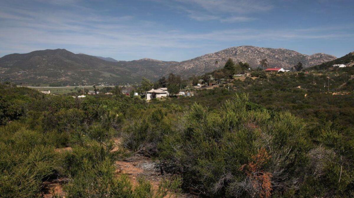 Farlin Road, at the east end of Alpine, houses dot the hillsides, surrounded by Cleveland National Forest. Across the I-8 freeway to the north is the spread of tribal development around the Viejas Casino.