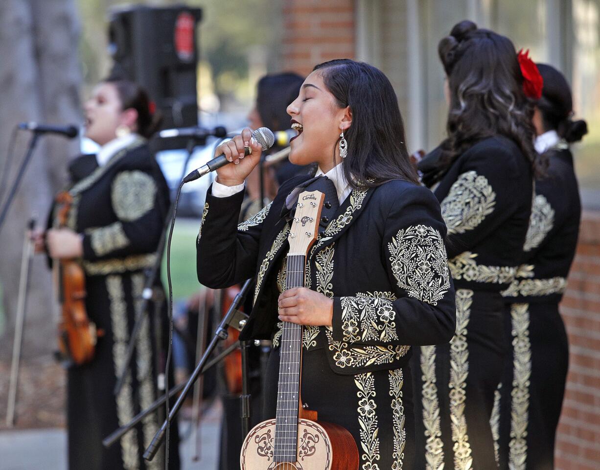 Photo Gallery: Mariachi Divas de Cindy Shea perform at Northwest Branch Library in Burbank for last performance of the summer