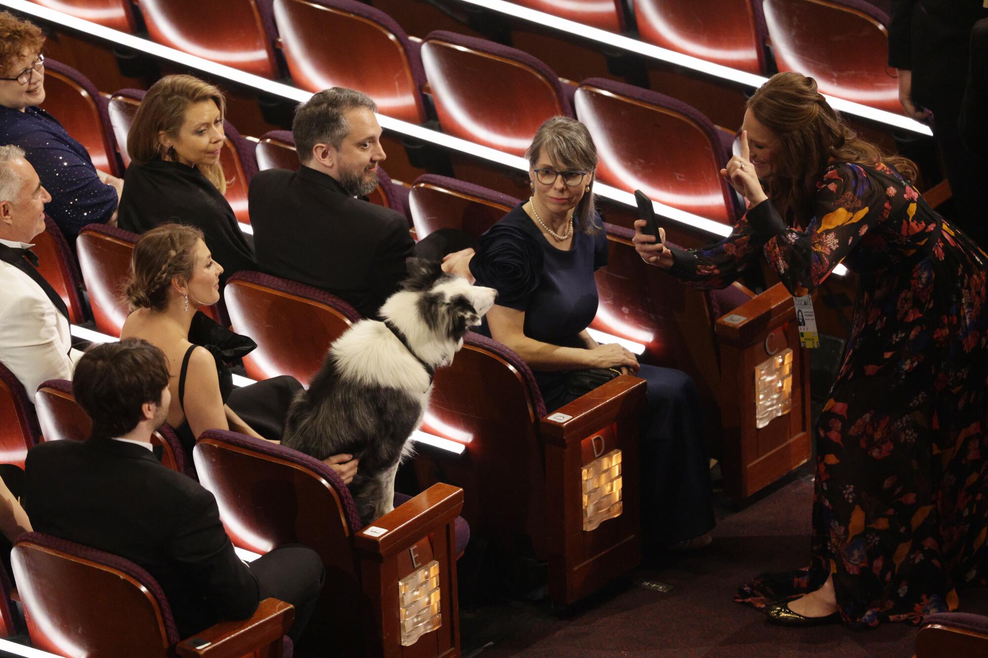 Messi the Dog inside the Dolby Theatre.