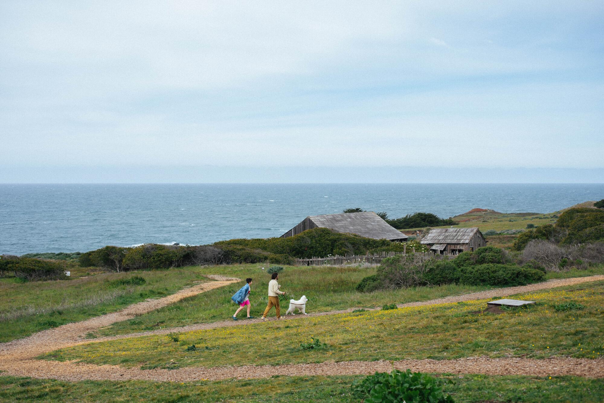 Two people and a dog walk along an ocean-view trail.