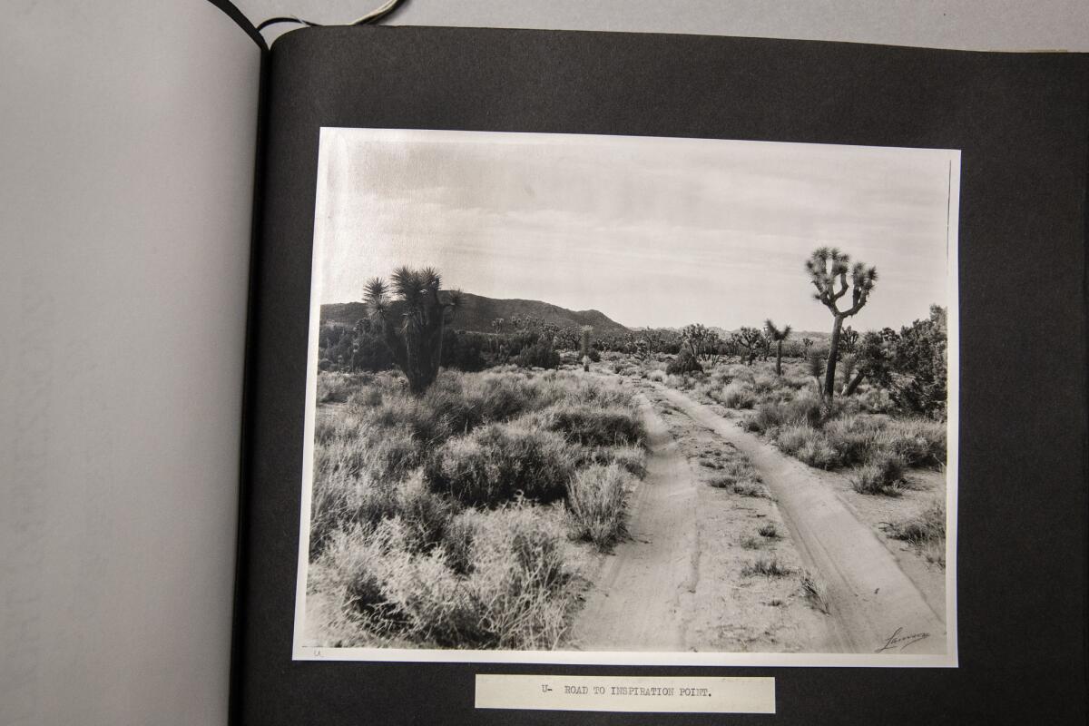 JOSHUA TREE NATIONAL PARK, CALIF. -- MONDAY, NOVEMBER 19, 2018: Copy photos of a photograph which was included in a book which was sent to President Roosevelt urging him to help establish Joshua Tree National Monument in Joshua Tree National Park, Calif., on Nov. 19, 2018. ( / Photo courtesy National Park Service)