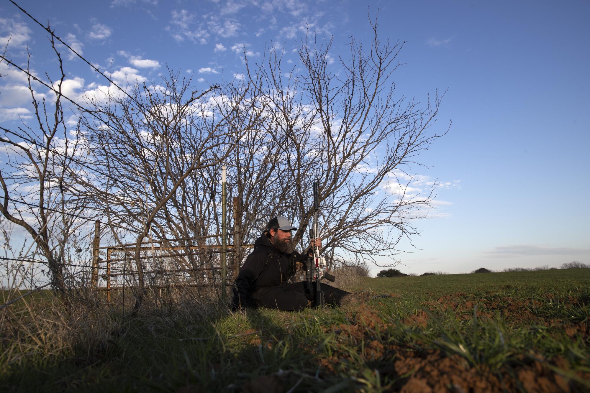 Chase Lasater sits with his rifle in a wheat field as he waits for nightfall, when wild hogs will assemble.