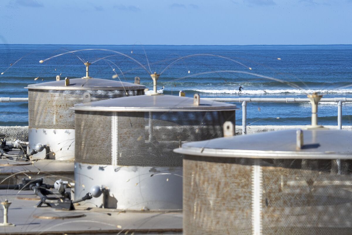 Large round metal structures with ocean waves and surfers in the background.