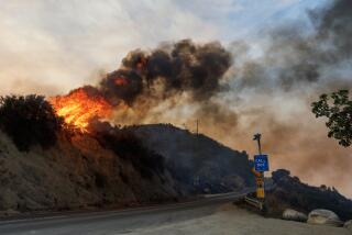 LAKE ELSINORE, CA - SEPTEMBER 11, 2024: The afternoon winds increased causing a flare up of the Airport fire at Highway 74 near the Lookout Roadhouse cafe on September 11, 2024 in Lake Elsinore, California. (Gina Ferazzi / Los Angeles Times)