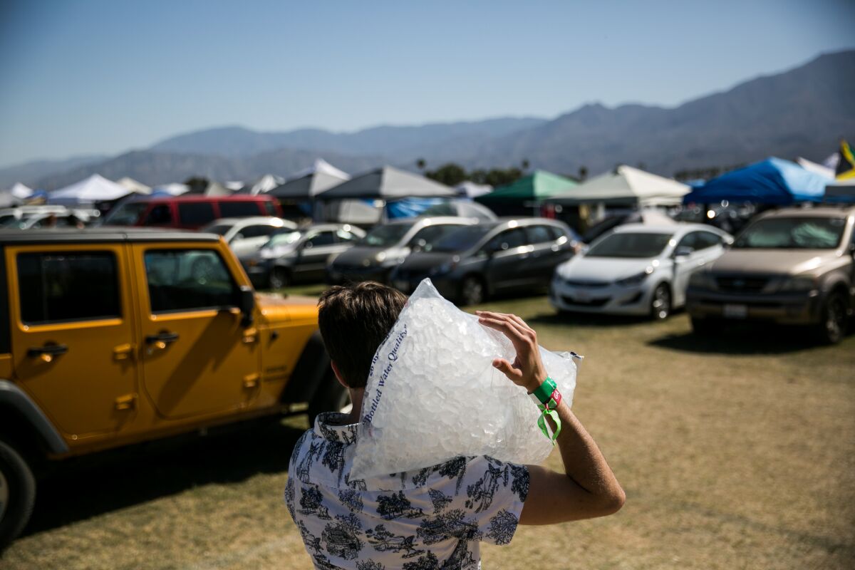 A music fan brings a bag of ice back to his camp site.