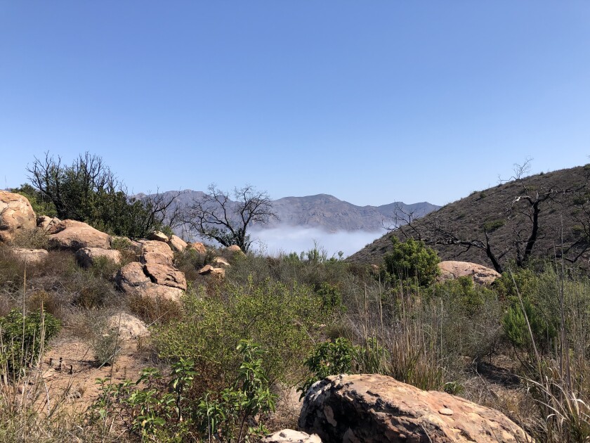 A view from Nicholas Flat trail in the Santa Monica Mountains.