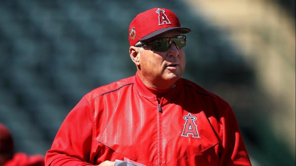 Angels Manager Mike Scioscia looks on during spring training on Feb. 24 at Tempe Diablo Stadium.