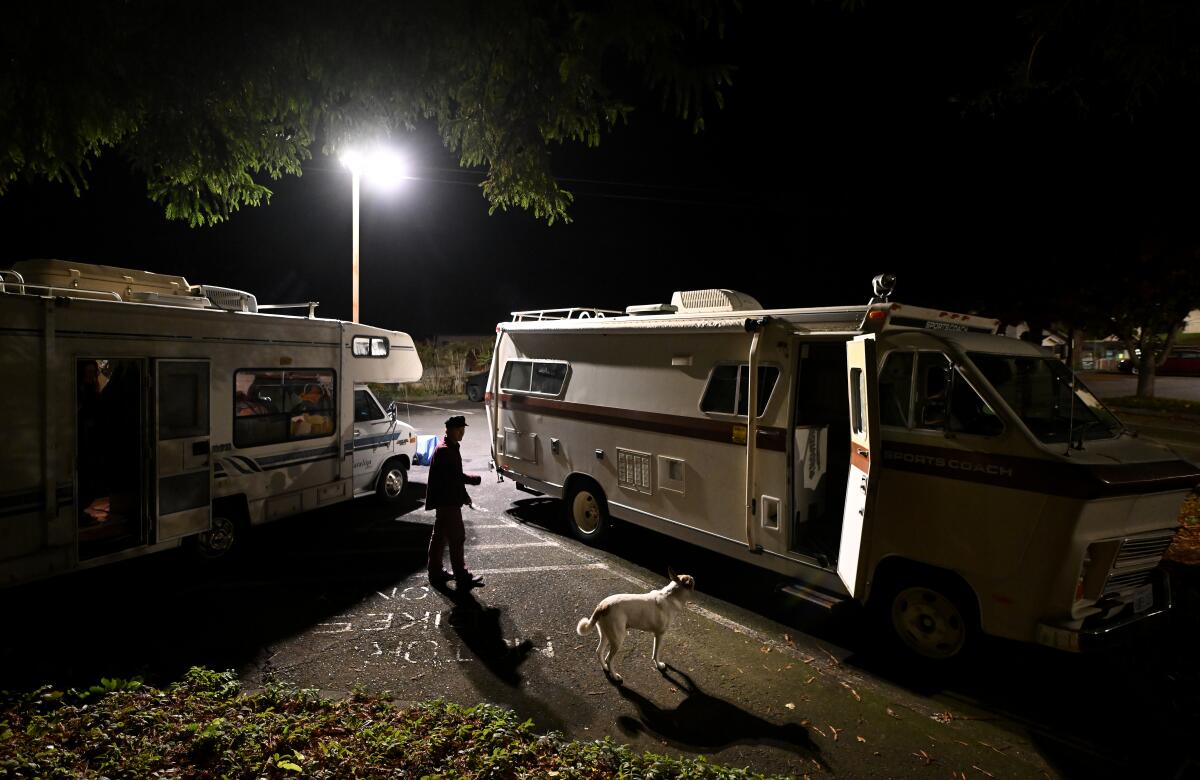 A man and a dog stand between two RVs.