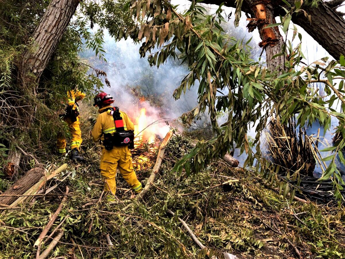 Fire crews Monday morning battle a brush fire at Talbert Park that spread about 3,600 square feet before being extinguished.