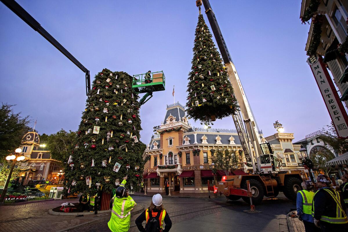 Workers use a crane to hoist the top section of a giant Christmas tree into place as others decorate Disneyland's Main Street U.S.A. The overnight efforts requires dozens of extra workers and meticulous coordination.