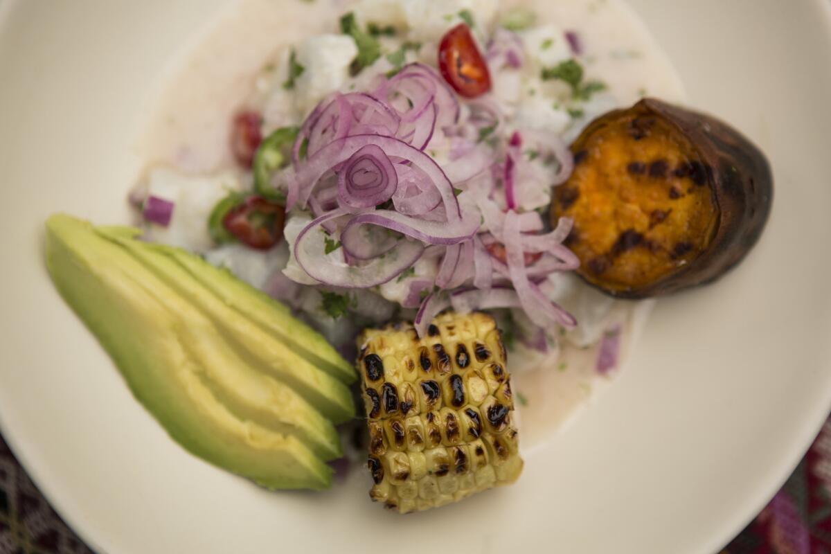 Peruvian ceviche complimented with some corn, sweet potatoes, avocado and a colorful dip of purple onions.