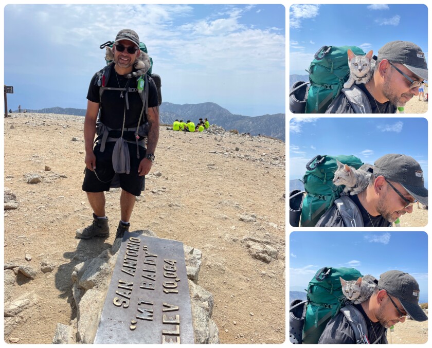 Pictures of a cat lying across a hiker's neck. 
