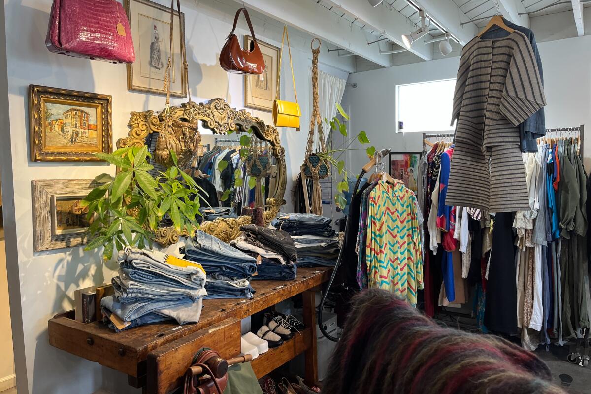 Luxury Thrift Stores You Need To Check Out - Society19