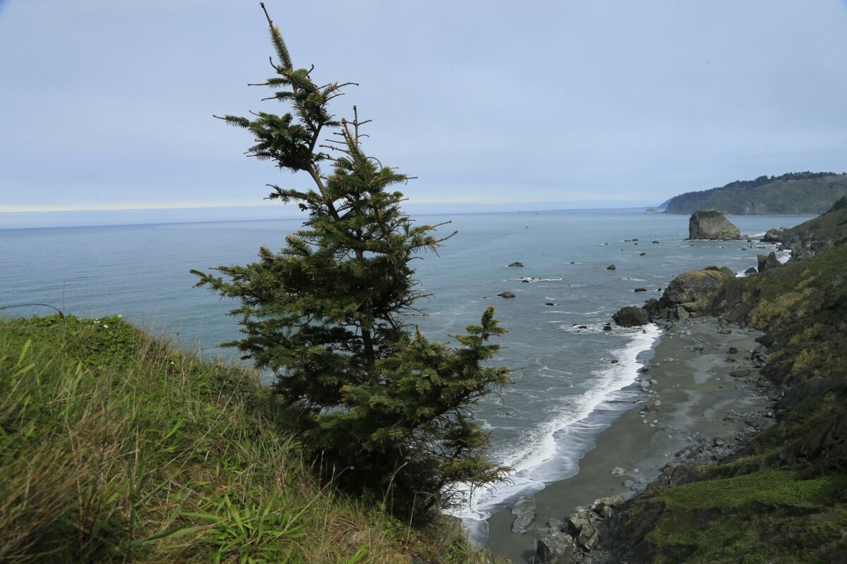 The view from the High Bluff Overlook along Coastal Drive in Klamath looks down on a rocky shoreline adjacent to the mouth of the Klamath River.