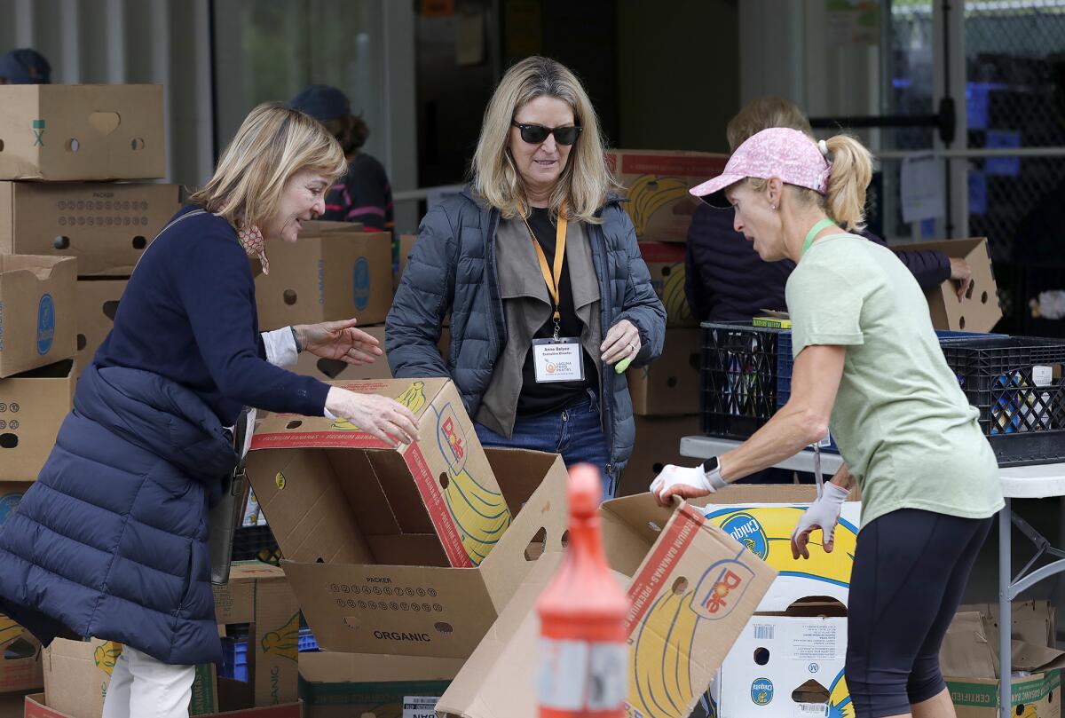 Board president Susan Thomas, executive director Anne Belyea and volunteer Mary Ann Sprague clear boxes.