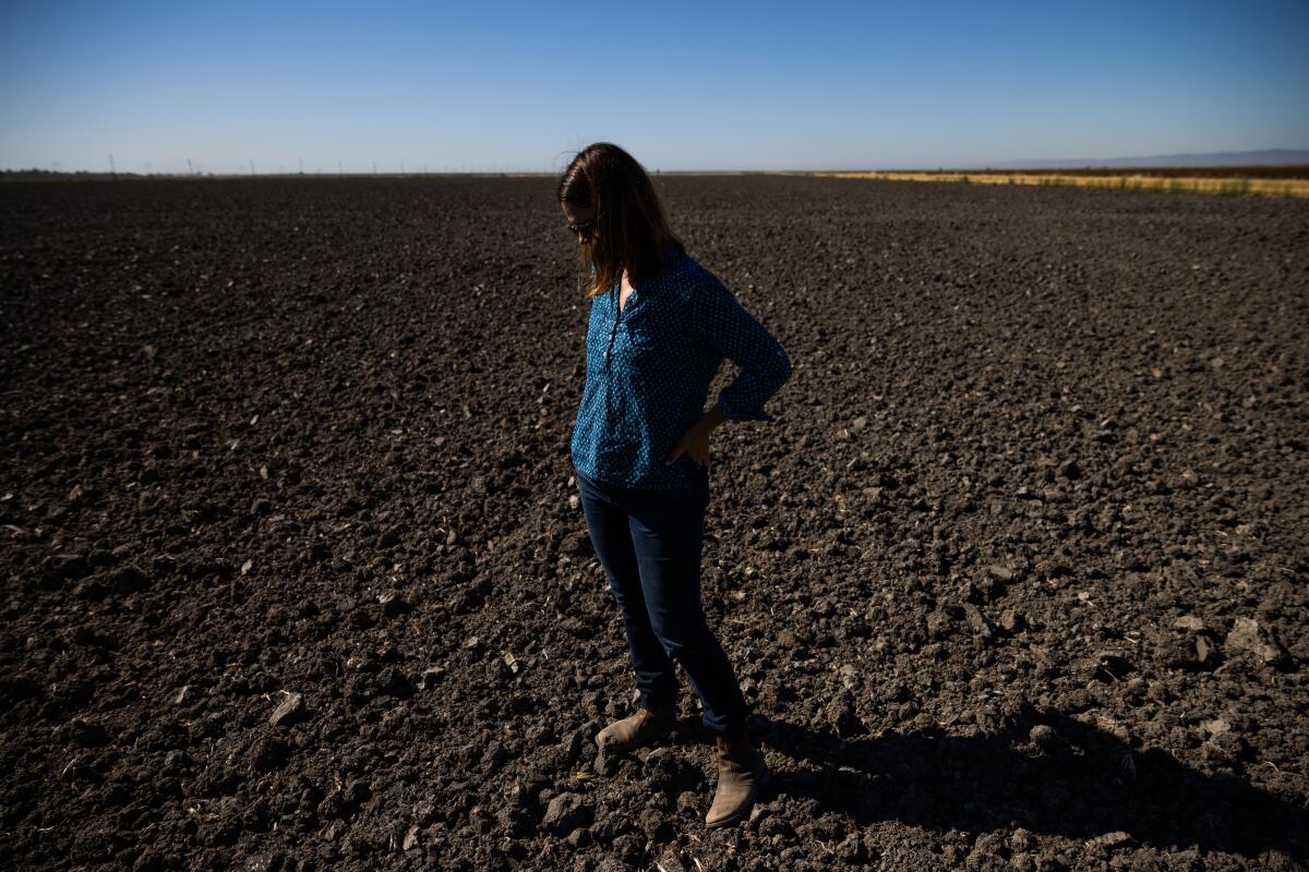 Kim Gallagher stands in a rice field she's fallowed due to a lack of water in Knights Landing.