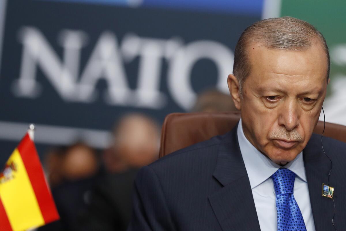 Turkish President Recep Tayyip Erdogan sits in front of a NATO logo.