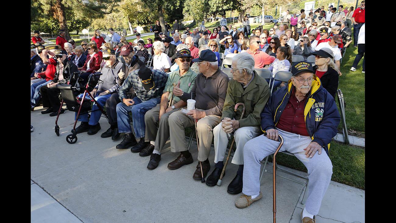 Photo Gallery: Veterans honored at annual Two Strike Park Veteran's Day celebration