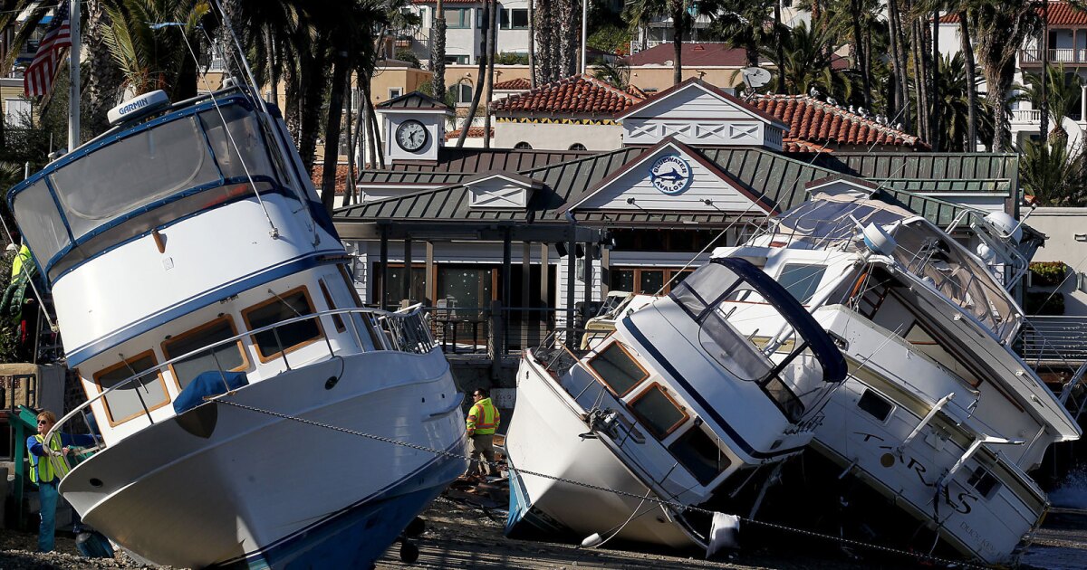 Second body pulled from Avalon Harbor identified - Los Angeles Times