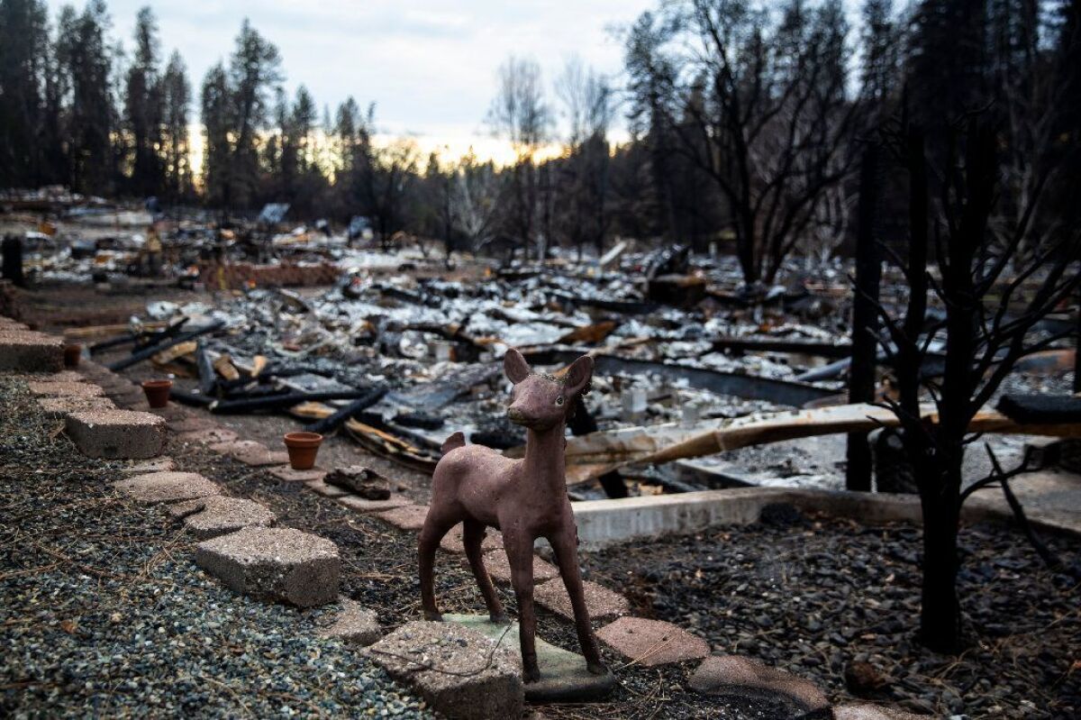 The remains of Edgewood and Sawmill Estates community in the Camp fire-decimated town of Paradise on Dec. 12 in Paradise, Calif.