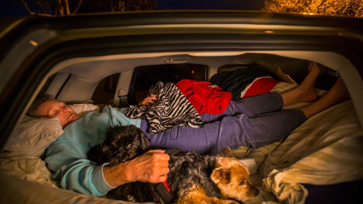 After the Carlsbad Senior Center closed for the night, Edythe Russell, 79, tucks into the back of her car on an air mattress to sleep with her two "children" dogs Chloe, right, and Tippy.