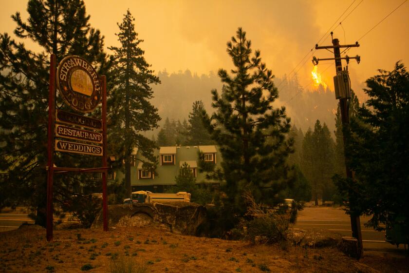 STRAWBERRY, CA - AUGUST 28: A spot fires burns on the ridge behind the historic Strawberry Lodge as firefighters continue to tackle the Caldor fire as it creeping closer to South Lake Tahoe on Saturday, Aug. 28, 2021 in Strawberry, CA. (Jason Armond / Los Angeles Times)