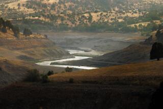 HORNBROOK, CA - AUGUST 14, 2024: Since the removal of two dams, the Klamath River is free flowing and has returned to its historic channel - something that hasn't been seen for more than a century on August 14, 2024 in Hornbrook, California. (Gina Ferazzi / Los Angeles Times)