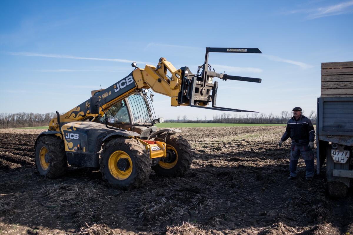 Workers on Onishchenko's farm prepare to plant potatoes for the coming growing season in southern Russia.