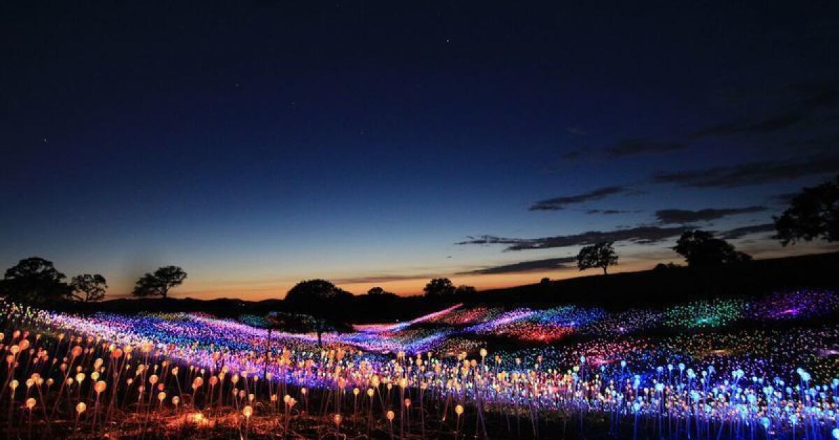 Bajo la misma estrella prohibido en secundarias de California, LUCES