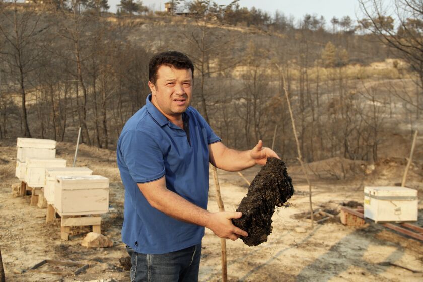 Beekeeper Guven Karagol shows his burnt beehives in Kalemler village of Manavgat, Antalya, Turkey, Saturday, Aug. 7, 2021. Turkey's wildfires have left little behind, turning green forests into ashen, barren hills. The destruction is intensely felt by Turkey's beekeepers, who have lost thousands of hives, the pine trees and the bugs their bees depend on, in a major blow to Turkey's honey industry. (Akif Yilmaz/IHA via AP)