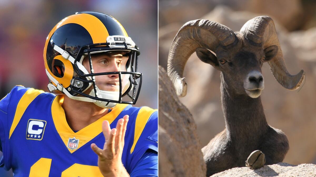 Want to see Rams at Super Bowl? It will cost you thousands - Los Angeles  Times