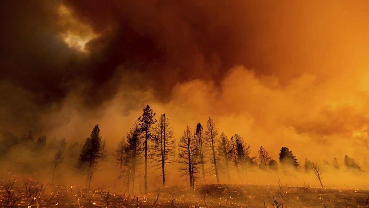 Megafire And Two Other Blazes Sweep Northern California Los Angeles Times Wildfires California July 2022 Map