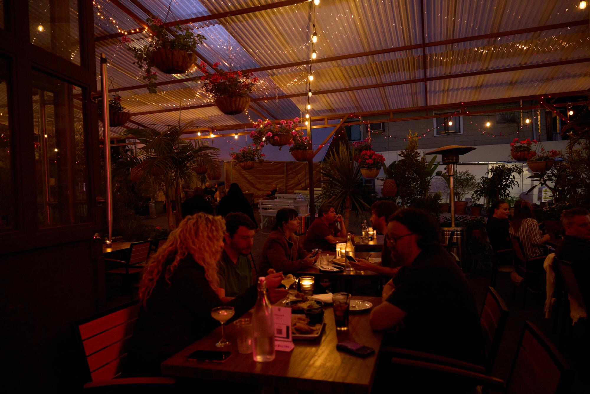 Patio of Untamed Spirits