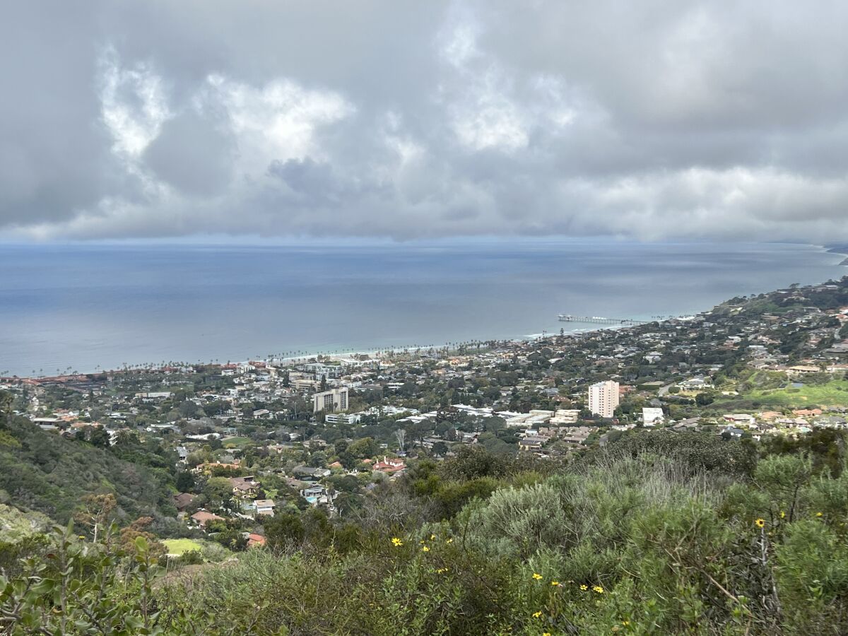 The board members of the Association for the City of La Jolla have various visions for local cityhood.