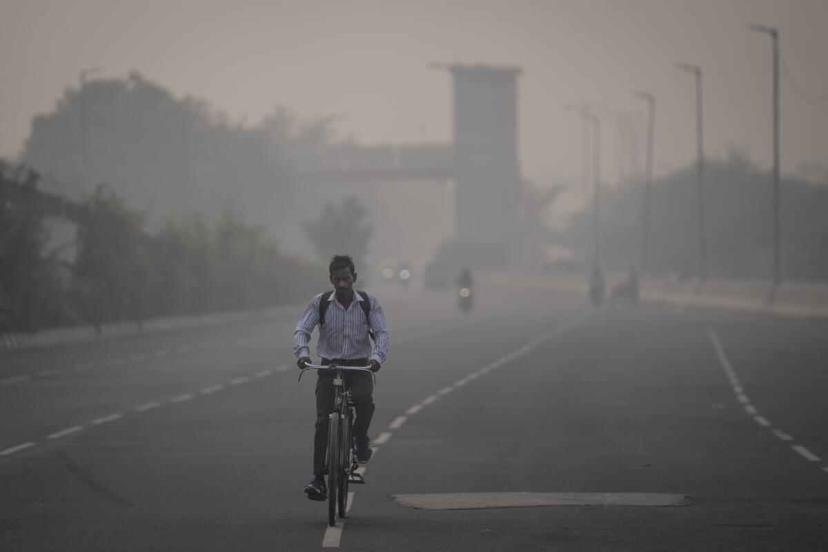Cyclist riding amid thick smog in New Delhi