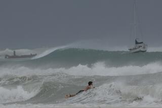 A surfer braves the waves in Carlisle Bay as Hurricane Beryl passes through Bridgetown, Barbados, July 1, 2024. (AP Photo/Ricardo Mazalan)