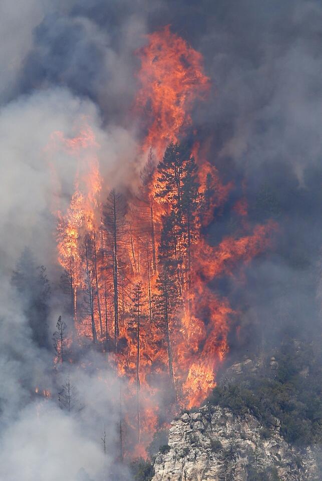 Arizona wildfire