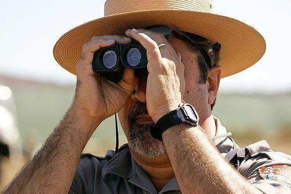 John Dell'Osso, chief of interpretation at Point Reyes National Seashore, watches birds. Rarely seen shorebirds, such as greater yellowlegs and the red-necked phalarope, have made themselves at home in the wetlands now.
