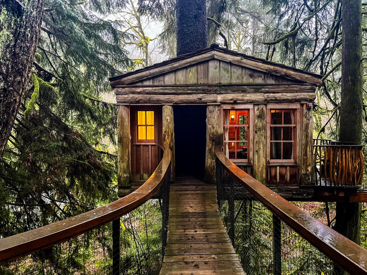 A rustic house nestled high in the trees with a narrow suspended wooden bridge to its door. 